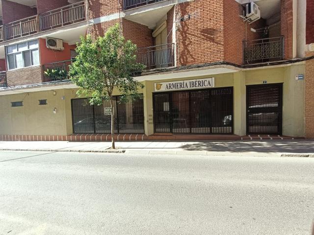 Local, Puertollano