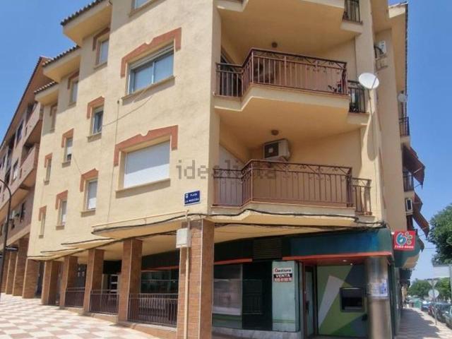 Local, Puertollano