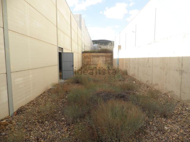 Local, Puertollano