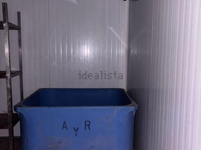 Local, Puertollano