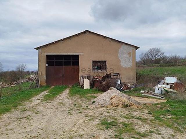 Local, Rabanera del Pinar