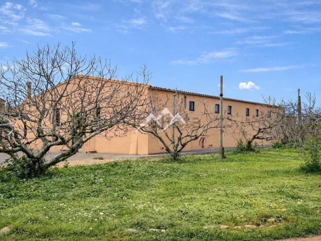 Local, Rafal Nou Estadi Balear Son Malferit, Palma de Mallorca