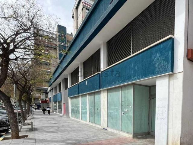 Local, Reina Victoria Miguel Hernández, Elche / Elx