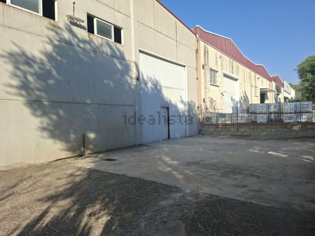 Local, Reus