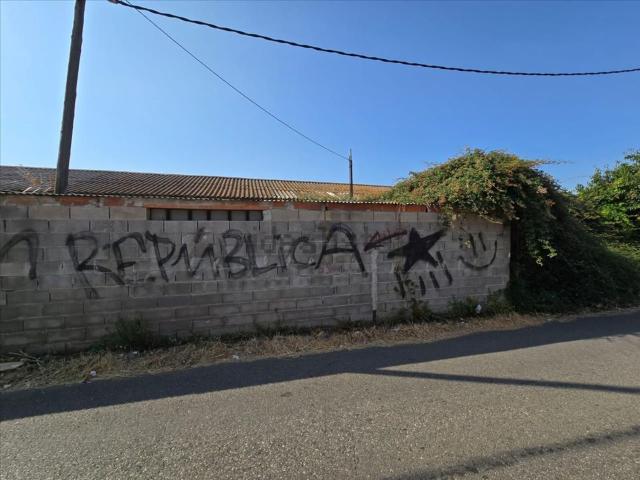 Local, Reus