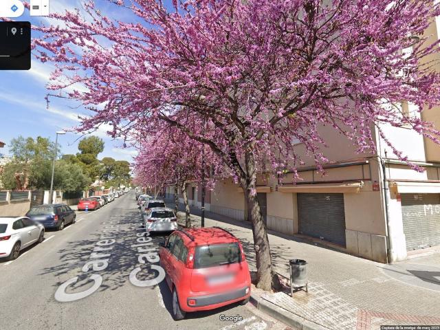 Local, Reus