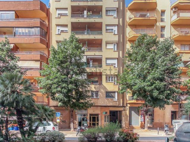Local, Reus