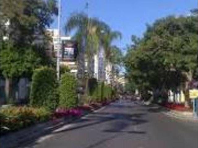 Local, Ricardo Soriano, Marbella