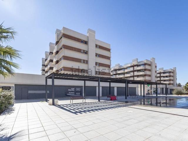 Local, Rosaleda Juventud, Granada