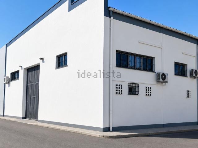 Local, Sa Indiotería Son Castelló, Palma de Mallorca