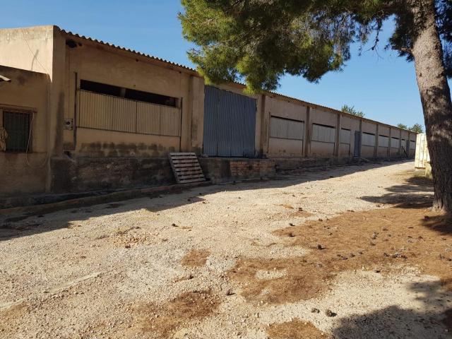 Local, Sant Carles de la Rápita