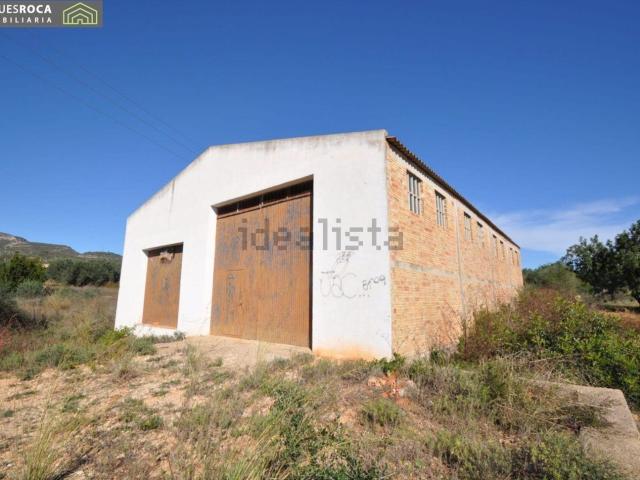 Local, Sant Carles de la Rápita