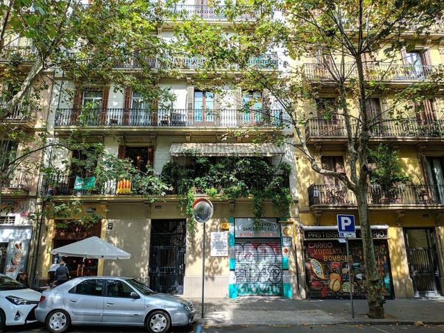 Local, Sant Feliu de Guíxols