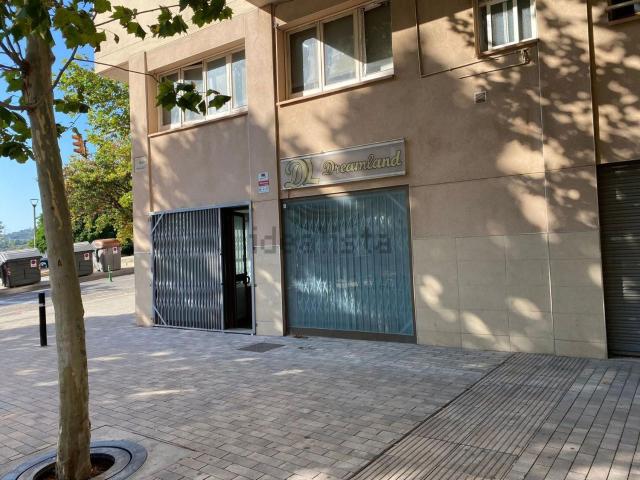 Local, Sant Feliu de Llobregat