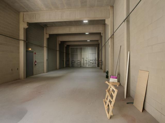 Local, Sant Feliu de Llobregat
