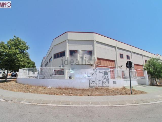 Local, Sant Jaume Dels Domenys