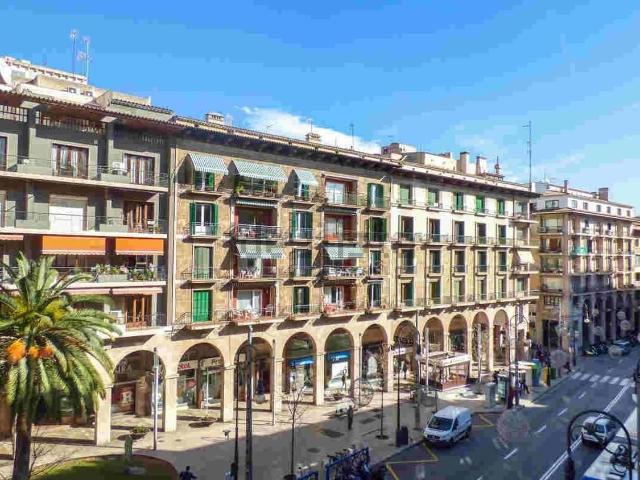 Local, Sant Jaume, Palma de Mallorca