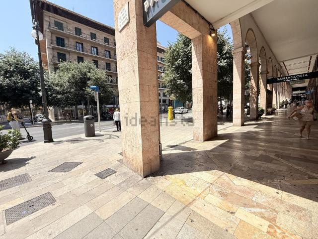 Local, Sant Jaume, Palma de Mallorca