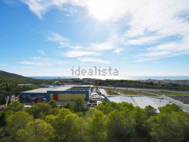 Local, Sant Pere de Ribes