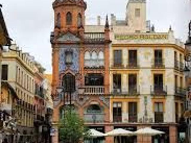 Local, Santa Cruz Alfalfa, Sevilla