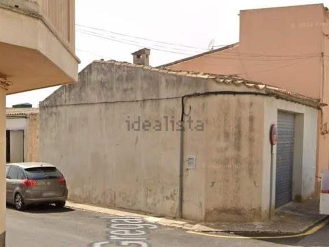 Local, Santa Margalida