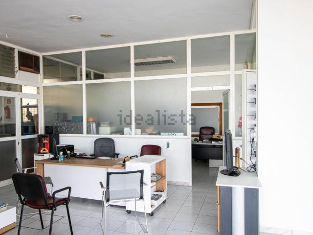 Local, Santa Margalida