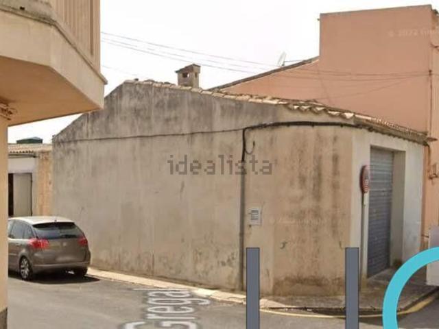 Local, Santa Margalida