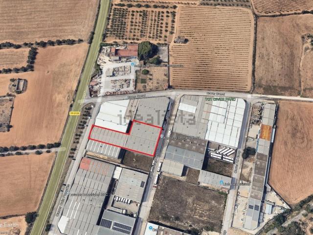 Local, Santa Oliva