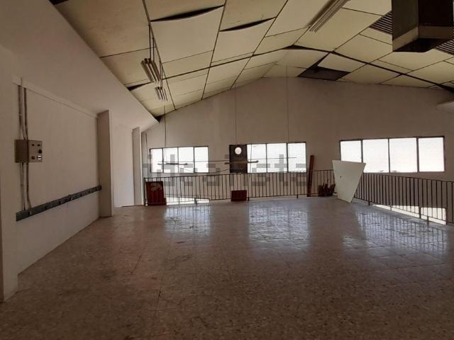 Local, San Crispín, Elche / Elx