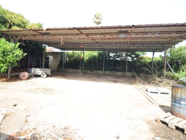 Local, San Cristóbal de la Laguna