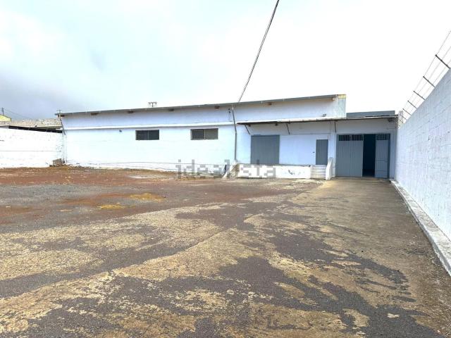 Local, San Cristóbal de la Laguna