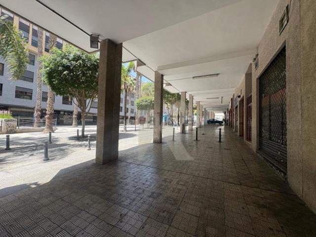 Local, San Cristóbal de la Laguna
