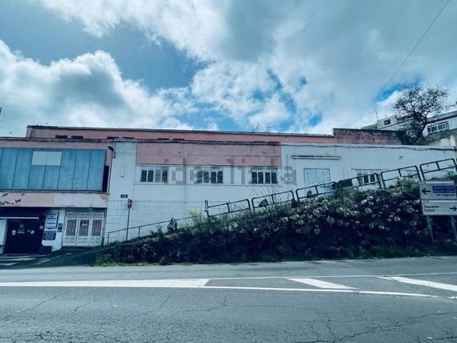 Local, San Cristóbal de la Laguna