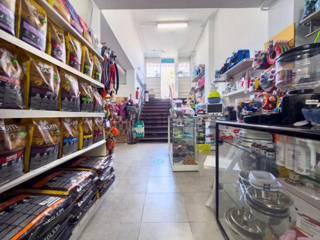 Local, San Cristóbal de la Laguna