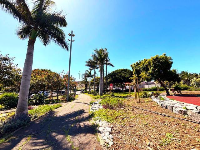 Local, San Cristóbal de la Laguna