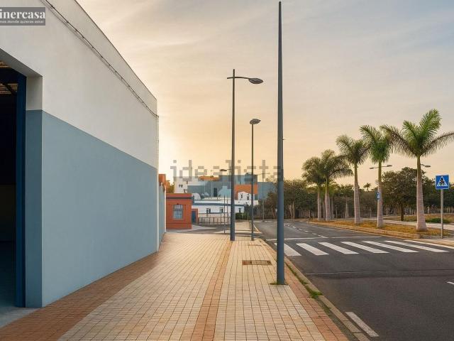 Local, San Cristóbal de la Laguna