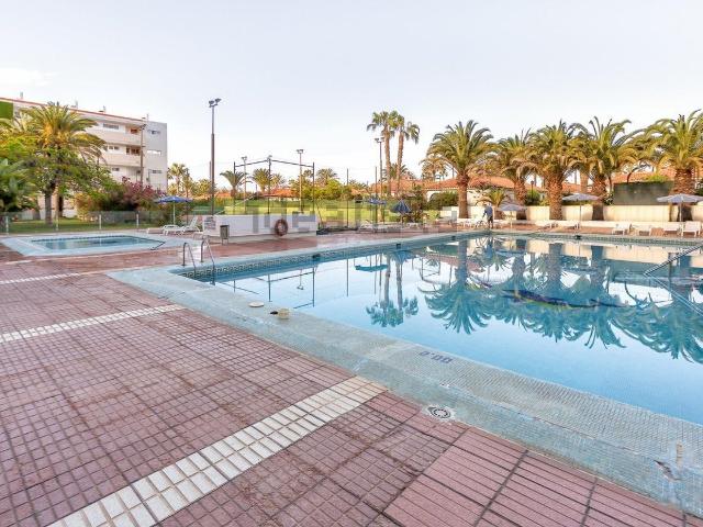 Local, San Bartolomé de Tirajana