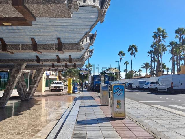 Local, San Bartolomé de Tirajana