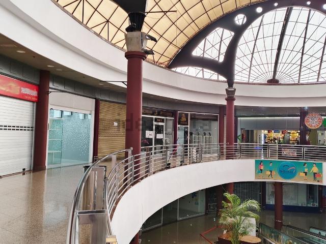 Local, San Bartolomé de Tirajana