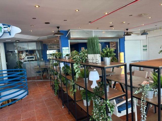 Local, San Eugenio Bajo, Adeje