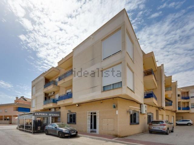 Local, San Fulgencio
