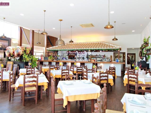 Local, San Vicente del Raspeig