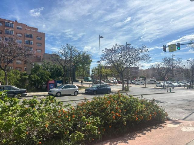 Local, San Vicente del Raspeig