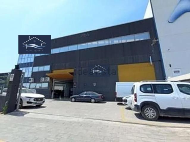 Local, San Vicente del Raspeig