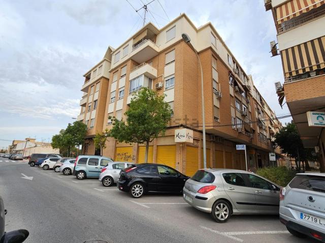 Local, San Vicente del Raspeig