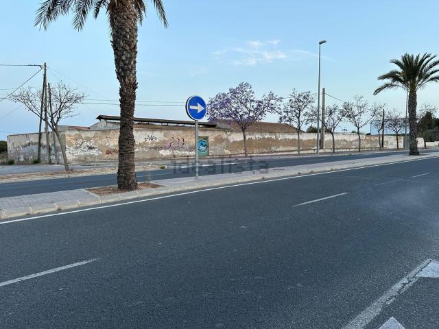 Local, San Vicente del Raspeig