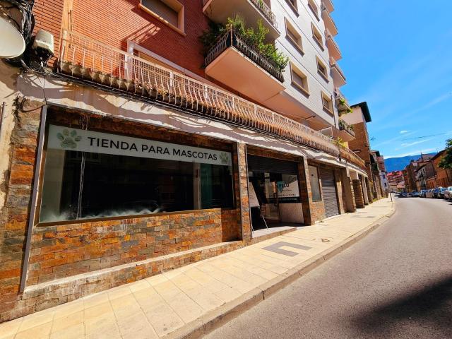 Local, Sabiñanigo