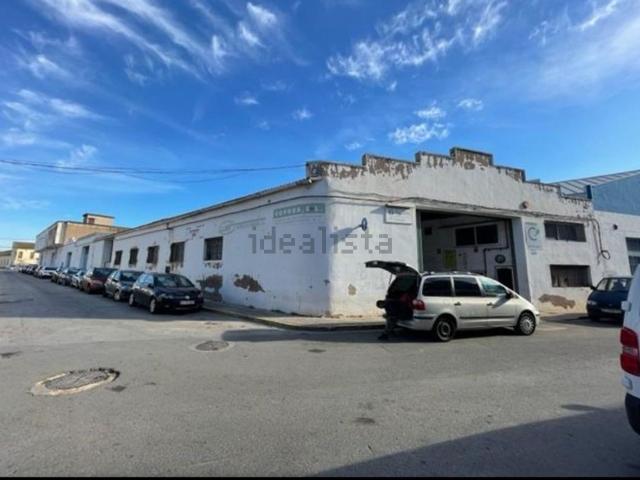Local, Sagunto/Sagunt