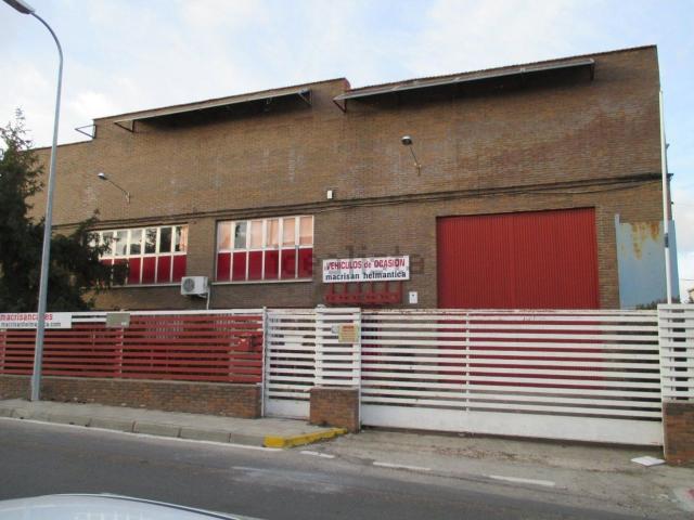 Local, Salamanca