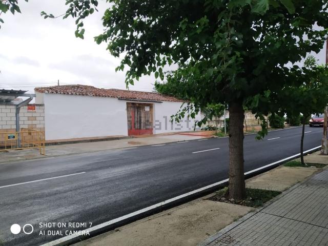 Local, Salorino